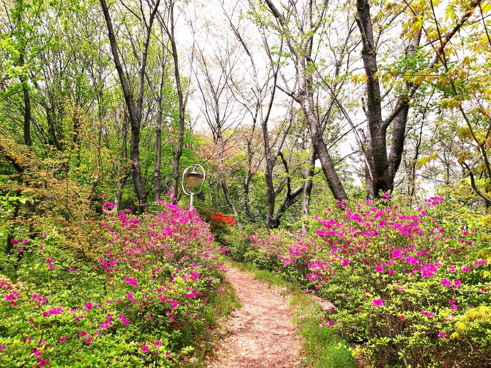 온요양병원 뒷동산1.jpg